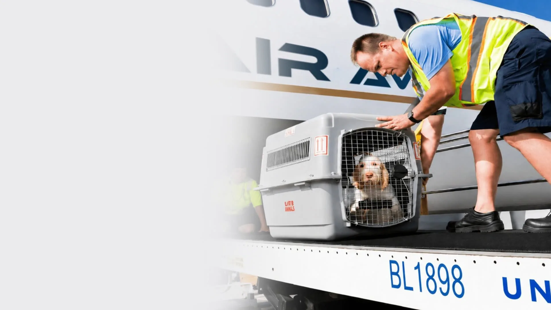 Animal Cargo Charter Flights